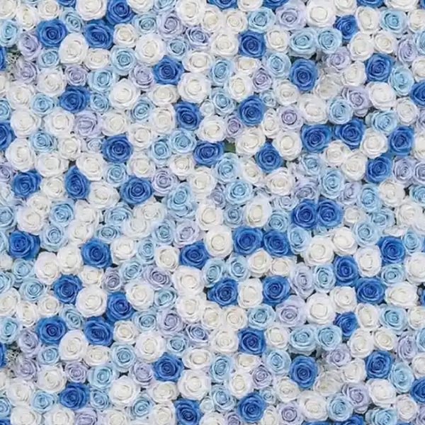 Blue Roses photo booth backdrop