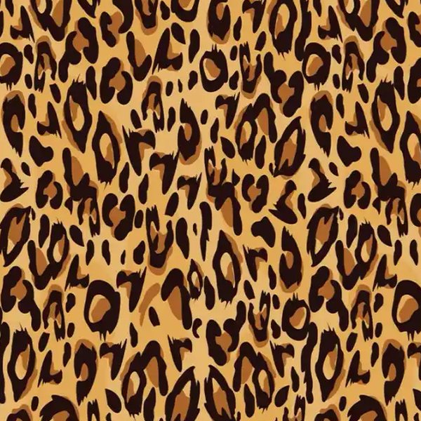 Cheetah Print photo booth backdrop