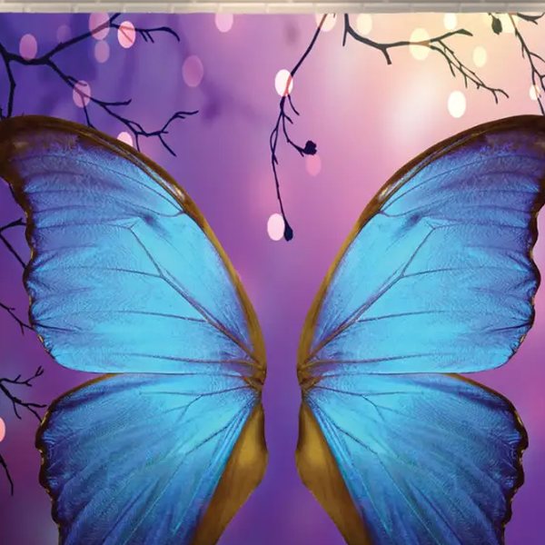 Fantasy Wings photo booth backdrop