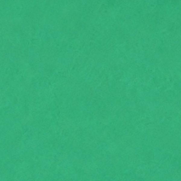 Solid saturated green backdrop