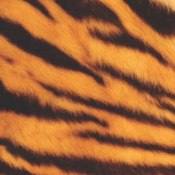 Tiger Fur photo booth backdrop