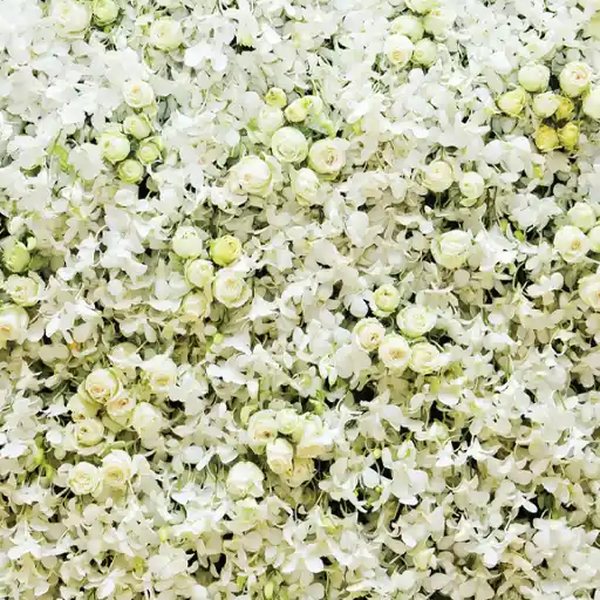 Ivory rose and white orchid flower wall backdrop